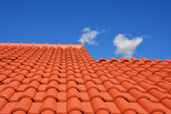 Roof Tile Preservation