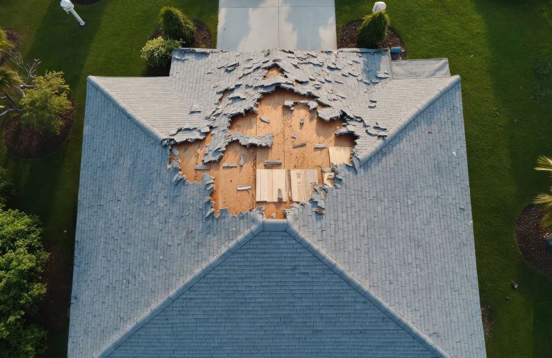 Roof Damage Restoration detail