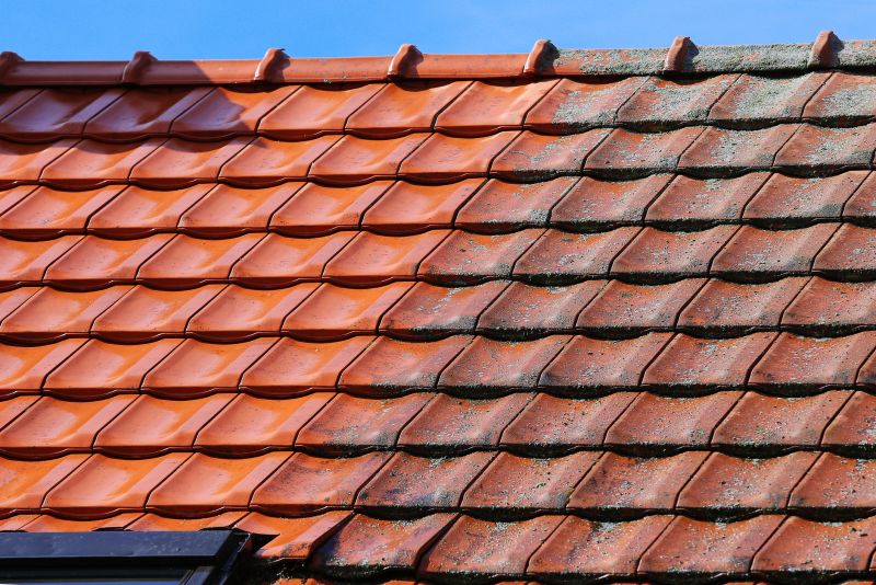 Tile Roof Restoration