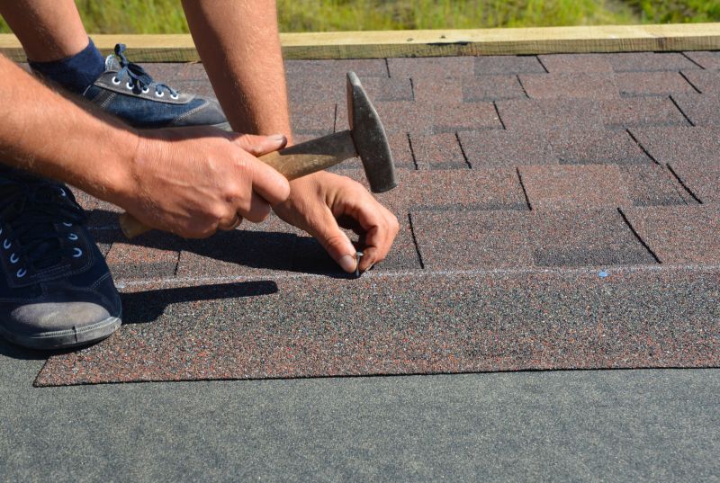 Shingles Repair